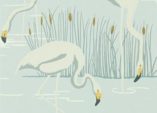 Фото - Обои Harlequin Salinas Wallpapers - 417784>