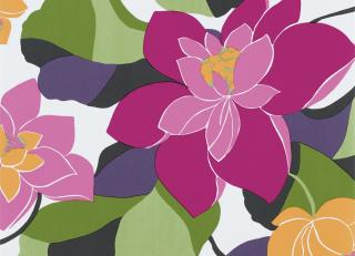 Фото - Обои Scion Spirit & Soul - 215460>