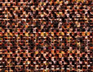 Фото - Обои Elitis Equateur - 340488>