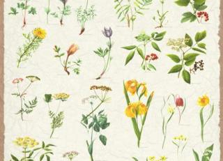 Фото - Обои Mr Perswall Nostalgic - 234901>