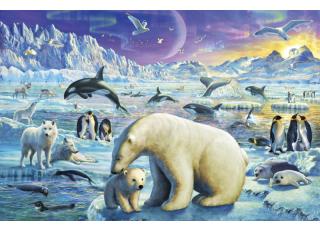 Фото - Обои Ortograf Адриан Честерман - 478279>