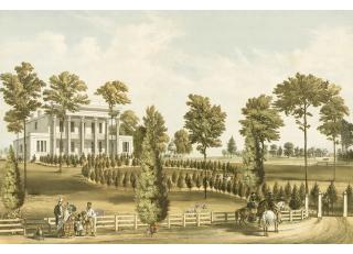 Фото - Обои Ada Wall Fiji Mural Collection - 529018>