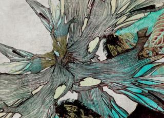 Фото - Обои Momenti Crazy Artists - 415955>