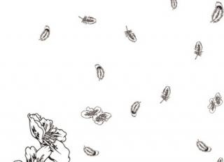 Фото - Обои Tres Tintas Art Gallery - 197743>