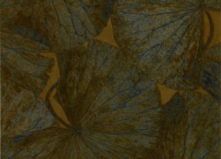 Фото - Обои Zoffany The Muse Wallcoverings - 366891>