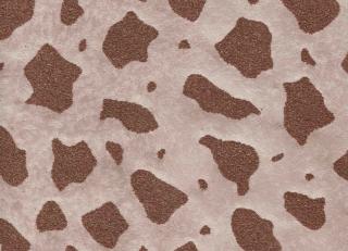 Фото - Обои Agena Granlusso - 461517>