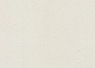 Фото - Обои Roberto Cavalli No.8 - 540528>