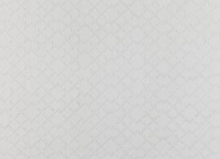 Фото - Ткани Villa Nova Renzo - 489785>