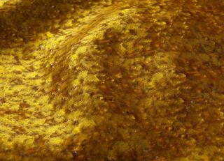 Фото - Ткани Galleria Arben Baroque - 534079>