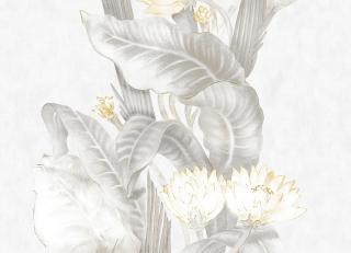 Фото - Обои Coordonne Maasai - 559175>