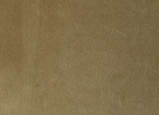 Фото - Ткани Foresti Home Collection Velluto di cotone Zeus - 563410>