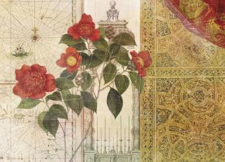 Фото - Обои Ortograf Эми Стюарт - 479988>