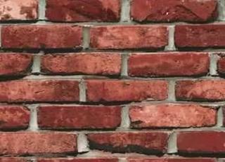 Фото - Обои Shinhan Natural  - 554951>