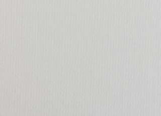 Фото - Ткани Clarke&Clarke Luxe Sheers - 403810>