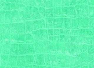 Фото - Обои Seabrook Tortuga - 434162>