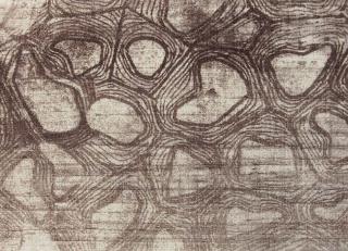 Фото - Ткани Foresti Home Collection Serengeti - 569651>