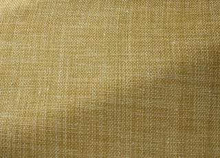 Фото - Ткани Pierre Frey Angkor - 622701>