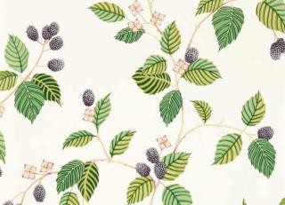 Фото - Обои Sanderson Arboretum - 565755>