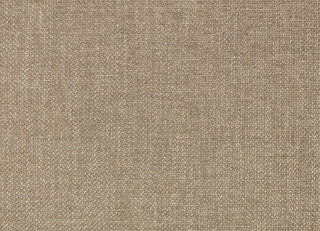 Фото - Ткани Zinc Holland Park - 628924>