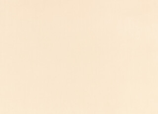 Фото - Ткани Zinc Z Suede - 628824>