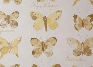 Фото - Обои Caselio Curiosity - 223610>