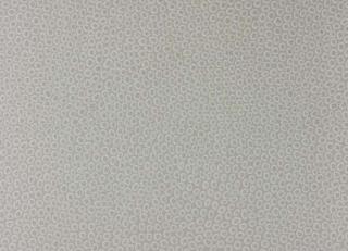 Фото - Обои Osborne & Little Pasha - 216891>