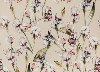 Фото - Ткани Alessandro Bini Iris - 568311>