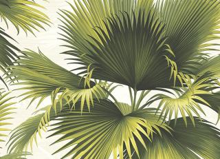 Фото - Обои KT Exclusive Palm Springs - 346648>