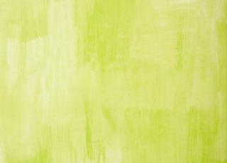 Фото - Обои Designers Guild Shanghai Garden - 250668>