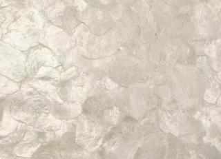 Фото - Обои Maya Romanoff Mother of Pearl On the Half Shell - 304963>