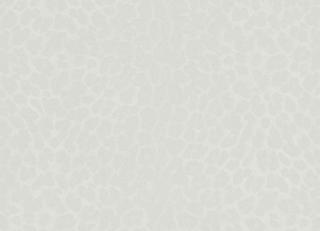 Фото - Обои Zambaiti Philipp Plein - 550604>