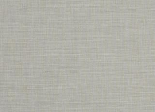 Фото - Ткани Clarke&Clarke Tussah & Seda - 362963>