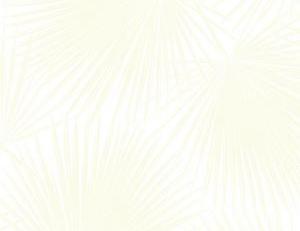 Фото - Обои Seabrook Tortuga - 434150>