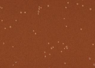 Фото - Ткани Casamance Edinburgh 4 - 556481>