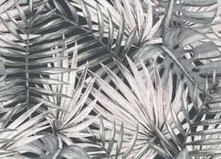 Фото - Обои Ich Dans Lemur Caribbean - 440834>