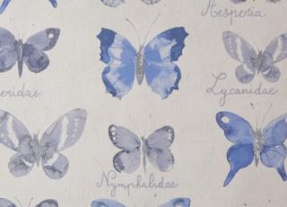 Фото - Обои Caselio Curiosity - 223611>