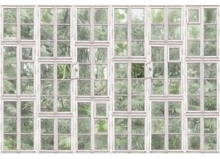 Фото - Обои Ortograf Oasis - 477213>