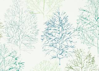 Фото - Обои Scion Zanzibar - 410356>