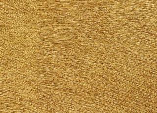 Фото - Обои Elitis Vibrations - 556731>