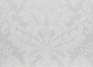 Фото - Обои Equipo DRT Saraceno - 405671>