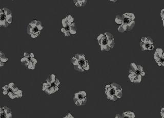 Фото - Обои для стен Fiona Wall Design - 257384>