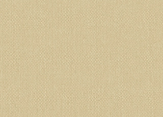 Фото - Обои Jannelli & Volpi JV505 Grande Corniche - 625620>