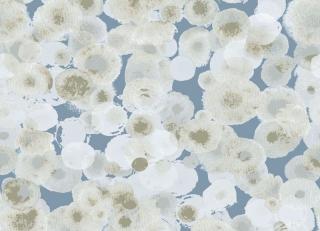 Фото - Обои Ich Dans Lemur Caribbean - 440845>