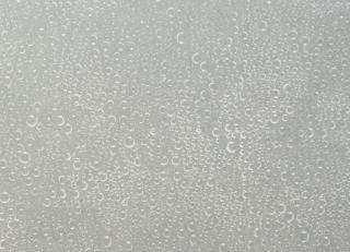 Фото - Обои Giardini I Giardini delle Meraviglie - 256022>