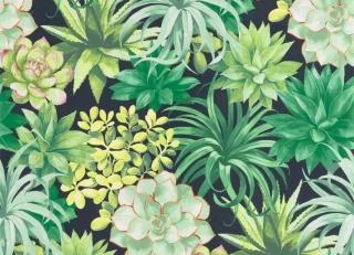 Фото - Обои Casadeco Botanica - 535615>