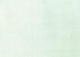 Фото - Ткани Дом CARO Ecoline - 532723>