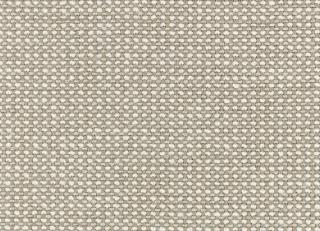 Фото - Ткани Black Edition - 600902>