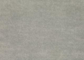 Фото - Ткани Mark Alexander Circa - 485892>