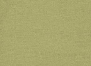 Фото - Ткани Clarke&Clarke Moire - 404034>