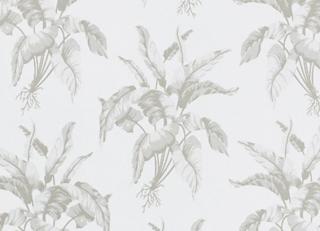 Фото - Обои Equipo DRT Senso - 405139>